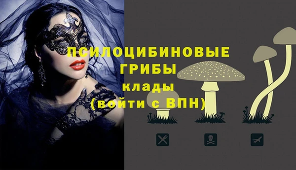 прущие грибы Лагань