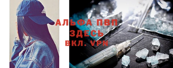дживик Сясьстрой