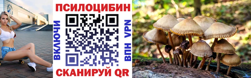мега вход  купить наркотики цена  Сельцо  Псилоцибиновые грибы MAGIC MUSHROOMS 